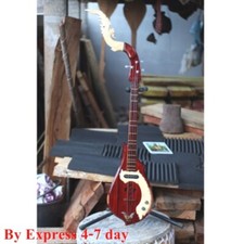 Electric Harp Guitar Special