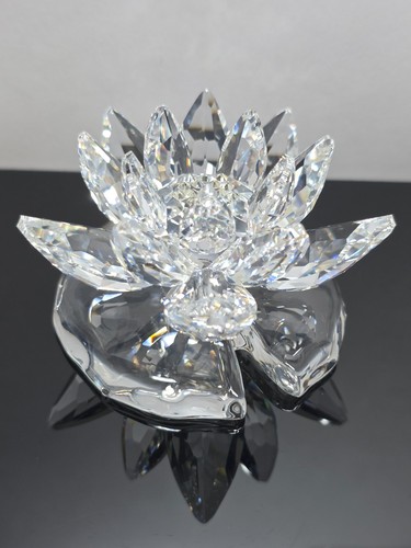 Swarovski 838178 large water - large,