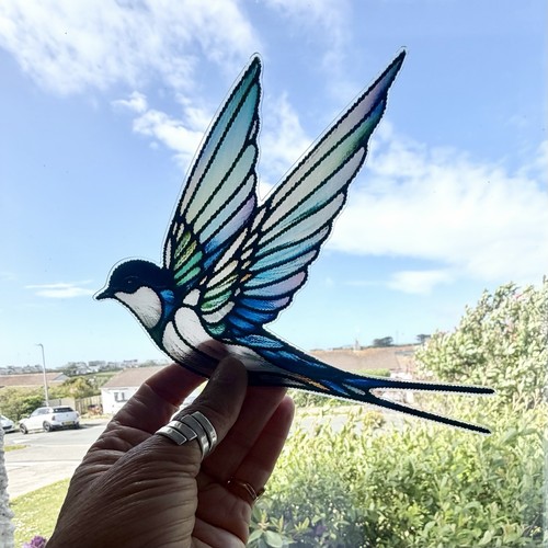 Swallow bird acrylic window - bird,