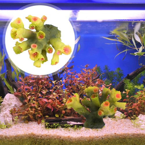 Fish tank accessories aquarium - tank,
