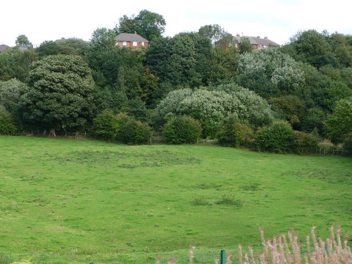 Photo 6x4 houses plumpton - photo,