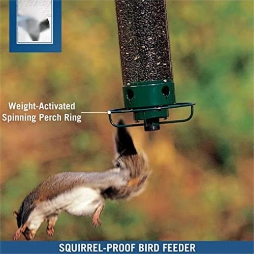 6in squirrel proof - 14.6in, bird