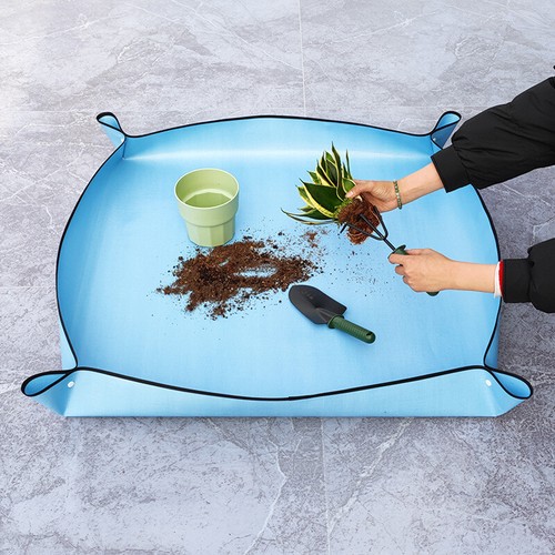 Patio garden plant - garden, mat