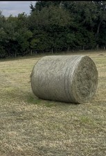 Hay Haylage Round Bales Hay