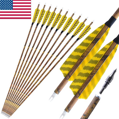 Carbon arrows sp500 - 6/12,