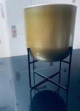 Beautiful Gold Metal Plant Pot With Black Stand