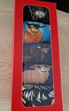 Ladies Highland Cow Themed Socks 5 Pairs  Size 4-7.  Will Make A Great Gift ?