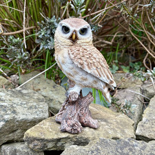 Vivid Arts Little Owl Ornament Garden Statue Realistic Bird Outdoor Decoration