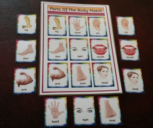 Body parts matching game - body,