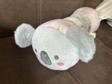 Tummy Time Animal Adventures