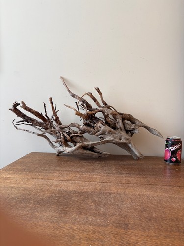 Driftwood piece silver root - piece,