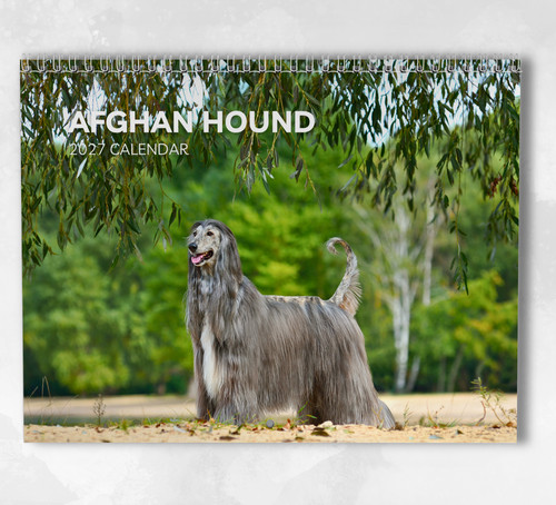Afghan hound calendar 2027 - afghan,