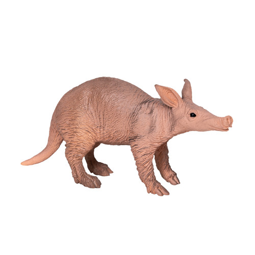 Aardvark wild zoo animals play - wild,