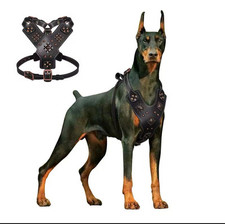 leather dog harness for large