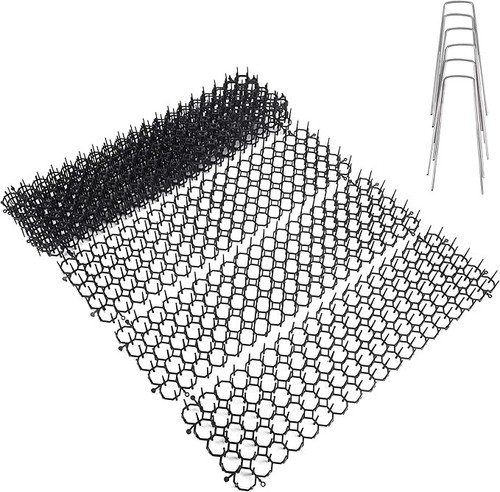 Cat scat mat pack - cat, with
