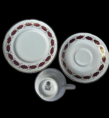 Paragon elegance burgundy - elegance, and