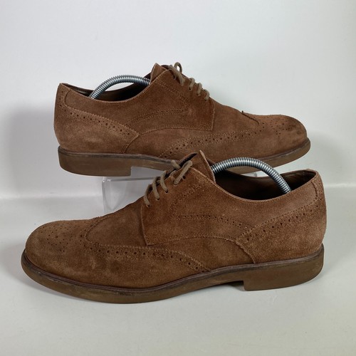 Tod suede brogues men - suede, uk