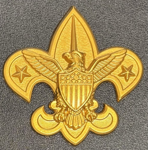 Bsa boy scout - 3”,