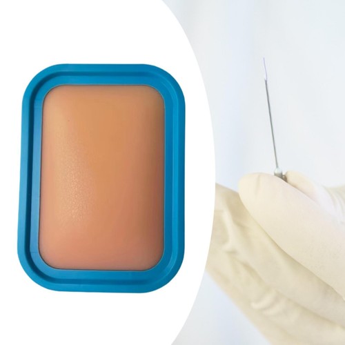 Acupuncture pad skin - skin, model