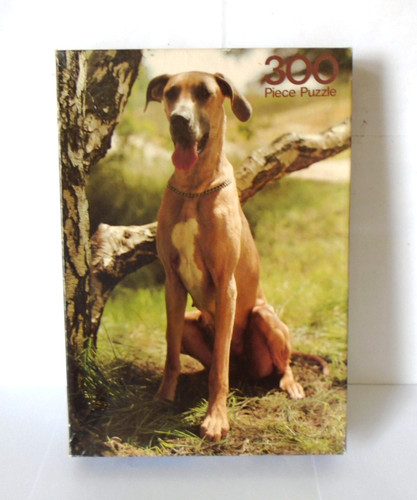 Vintage 1982 great dane dog - vintage,