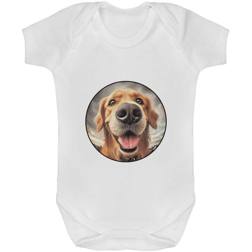 Smiling golden retriever - 'smiling, retriever'