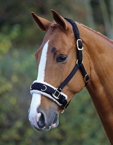 Shires fleece lined nylon - fleece,