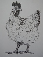 Original small black pen & ink