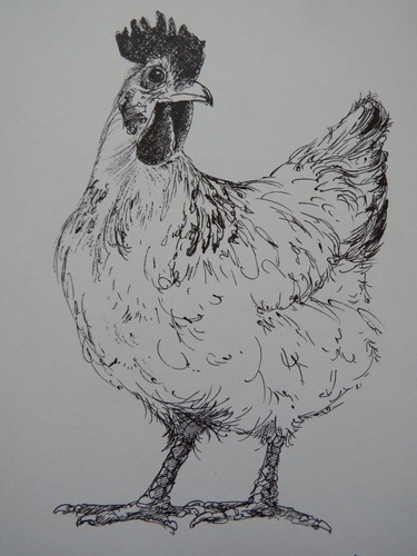 Ink chicken hen - ink,