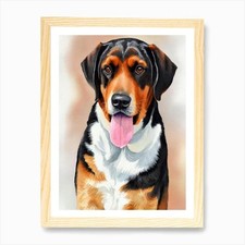 Black and tan coonhound - and, 2