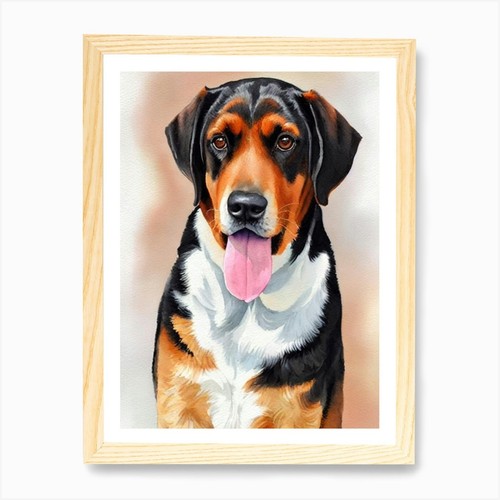 Black and tan - coonhound, 2