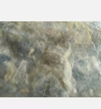 WoolCool Pioneers Of 100% Pure