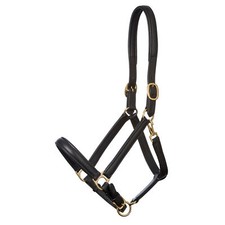 LEATHER HEAD COLLAR FULLY
