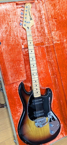 Ernie ball music man sting - music,