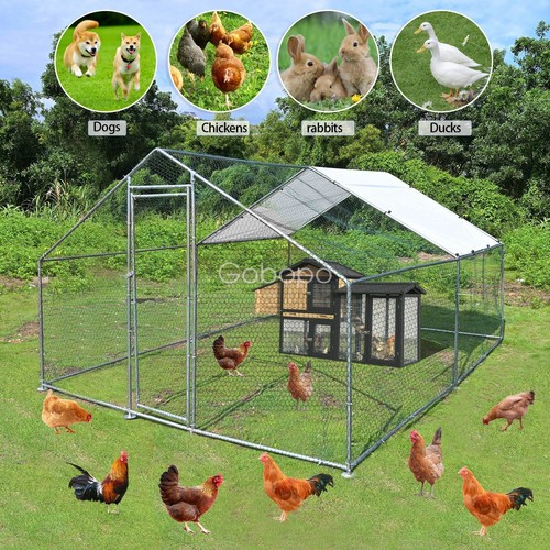 13x10ft metal walk - metal, chicken