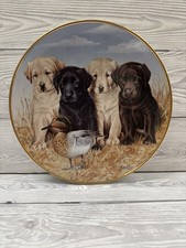 Labrador dog Porcelain plate, READY FOR ACTION  by Jim Killen Danbury mint