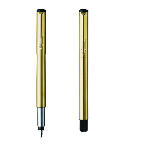 Parker vector fountain - pen,