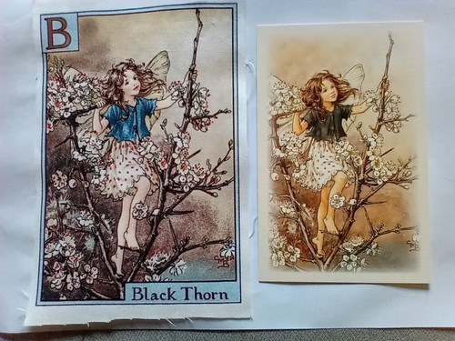Black thorn alphabet - -,