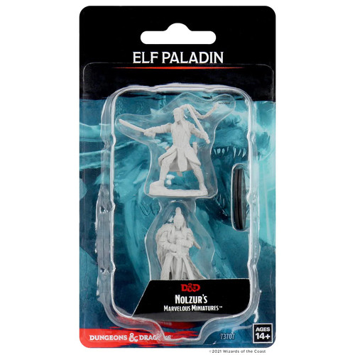 Male elf paladin - male, d&d