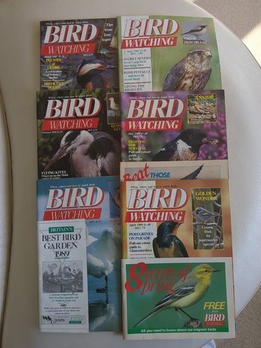 Vintage bird watching - bird,