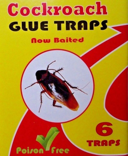New sticky cockroach - new,