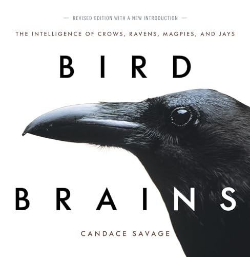 Bird brains the intelligence - brains:,