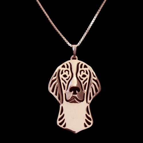 Welsh springer spaniel - springer,