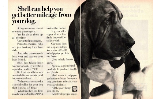 1968 shell oil - 1968,