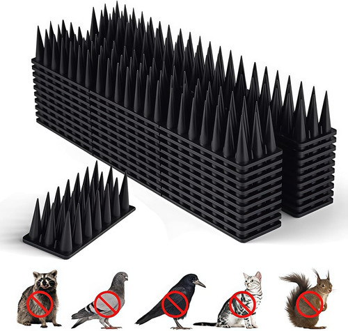Bird spikes pack pigeon - bird,