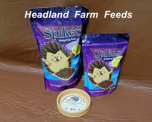 Spikes hedgehog food tasty - spikes,