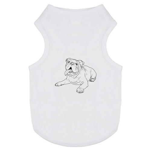 English bulldog pet dog - 'english, /