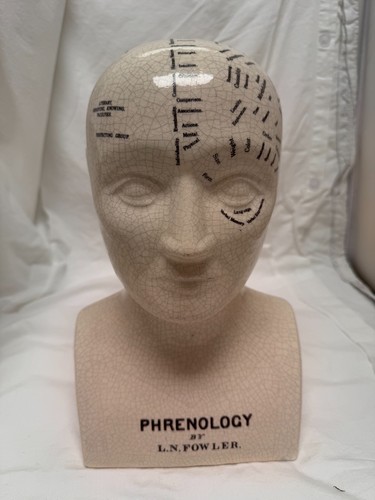 Antique fowler phrenology - l.n.,