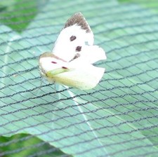 Butterfly netting garden - netting,
