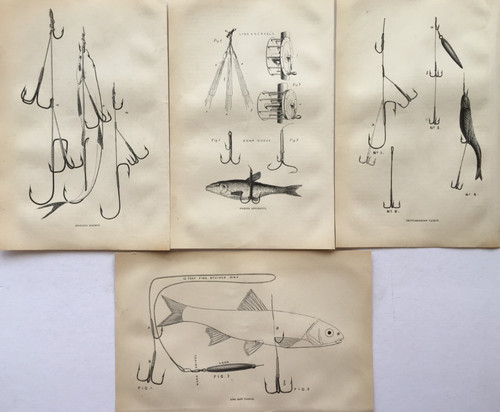 Fishing tackle trout bait - tackle, trout,
