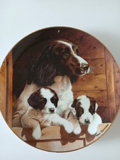 A Mother's Pride - Danbury